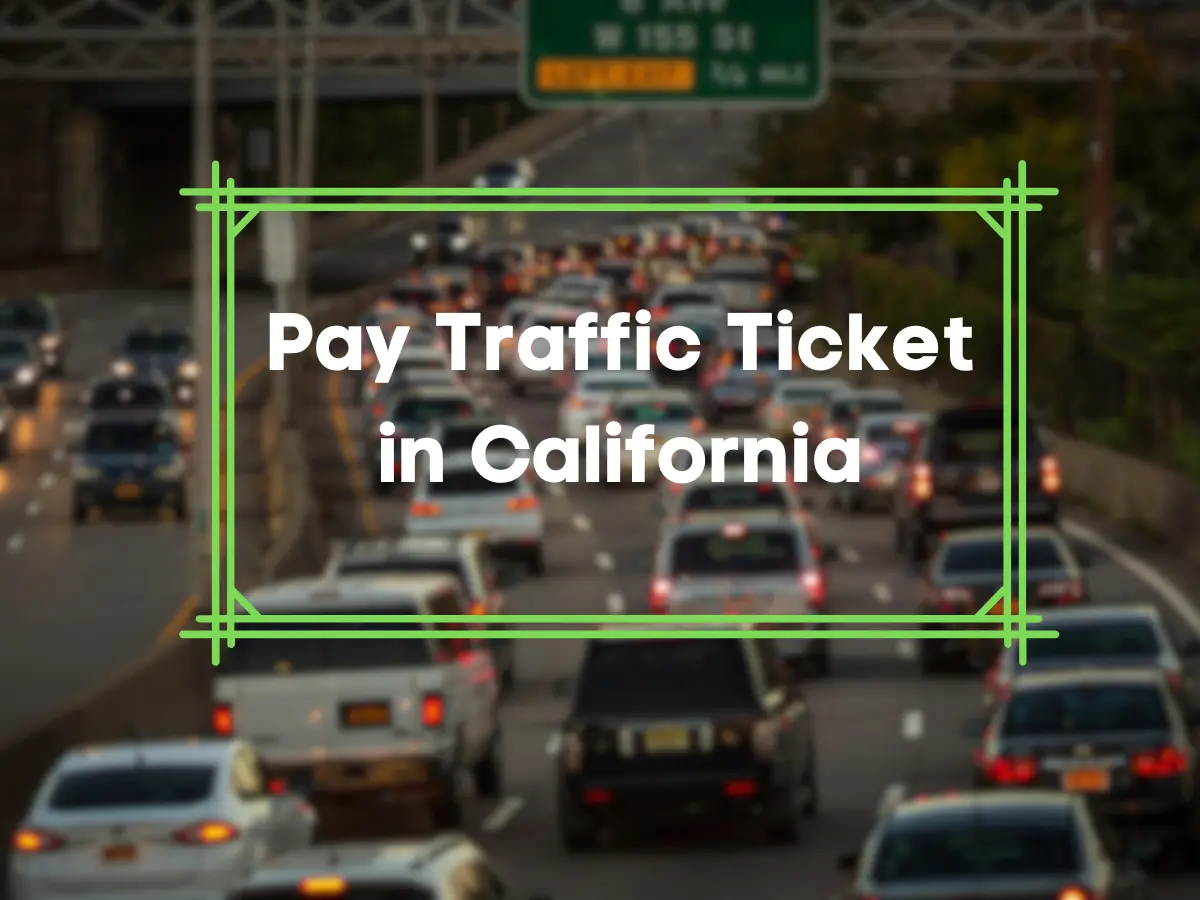 Pay Traffic Ticket in California